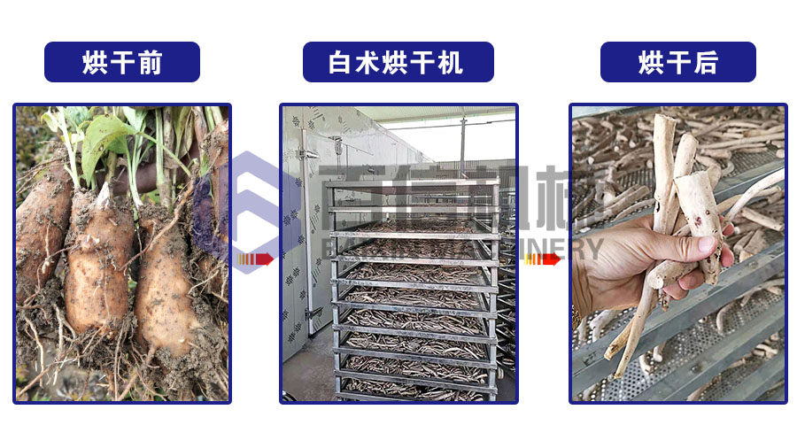 白術烘干機